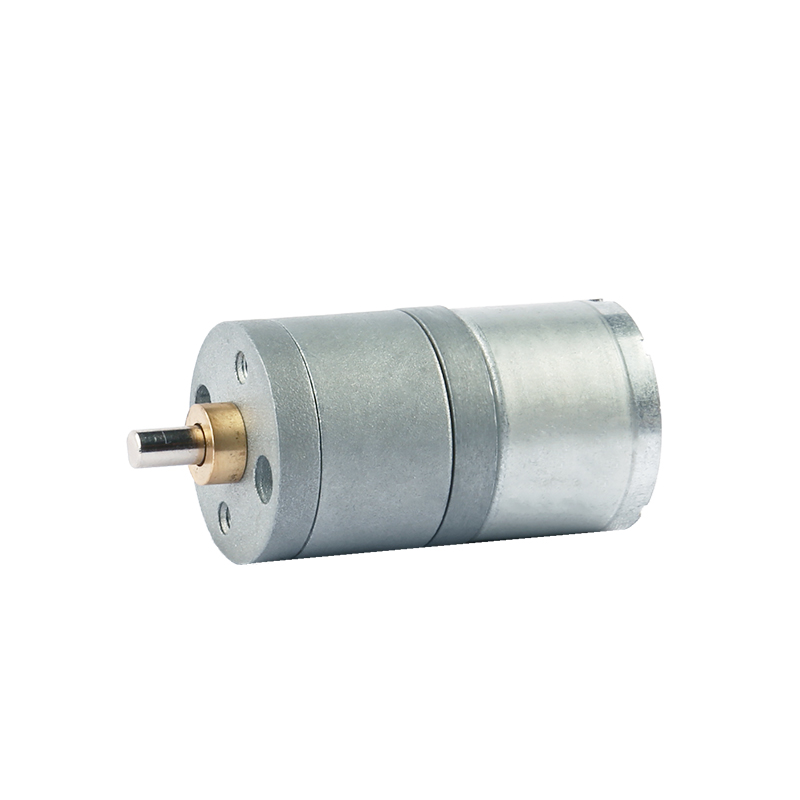 Động cơ bánh răng 12V 24V 25GA-310
